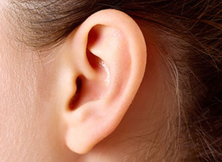 耳の病気（めまい）